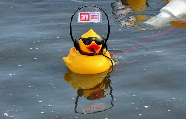 Maschsee13   668.jpg